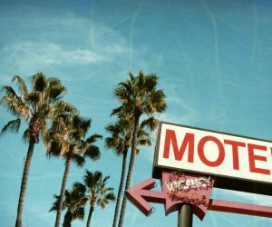 aged and worn vintage photo of motel sign palm trees