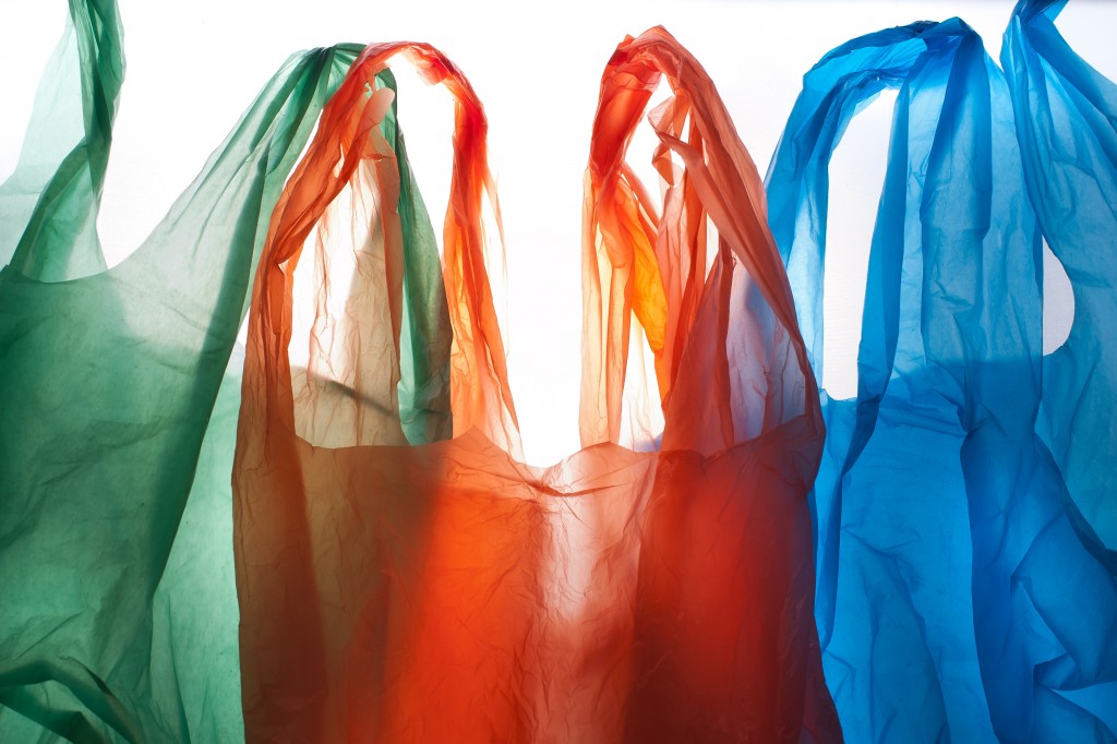 Reusable Grocery Bag