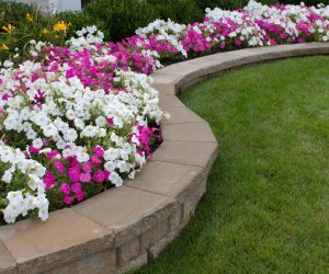 landscaping with grass and flowerbed