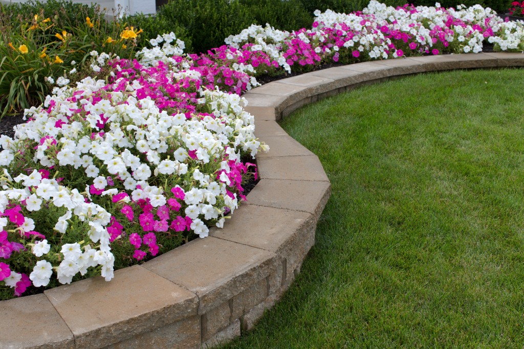 landscaping with grass and flowerbed