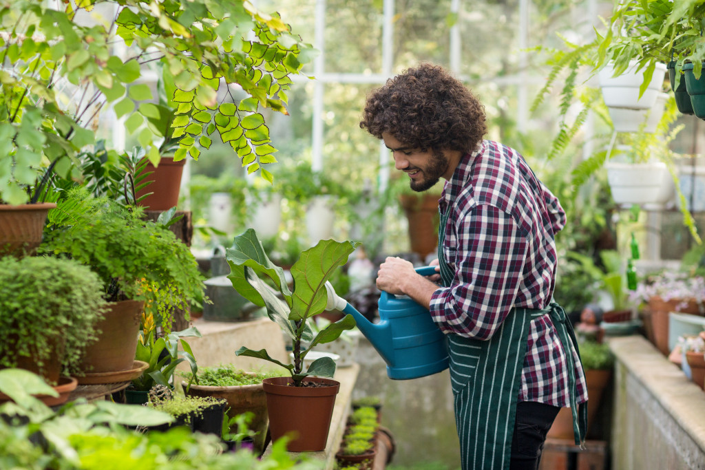 greenhouse