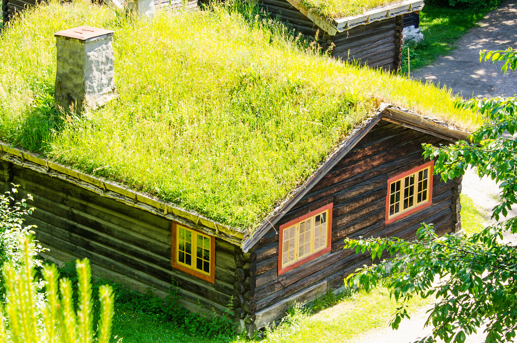 a house shed with green grass on top